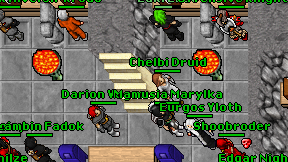 Chelbi Druid on screen