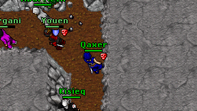 Qaxer on screen