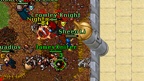 Sheen Li on screen