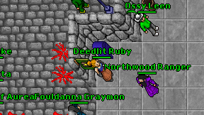 Deedlit Ruby on screen