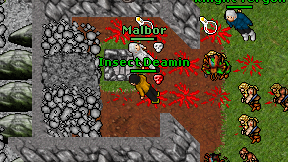 Insect Deamin on screen