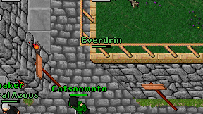 Everdrin on screen