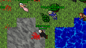 Neroxa on screen