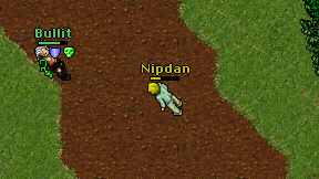 Nipdan on screen