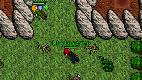 Lhytospyro on screen