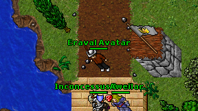Eraval Avatar on screen