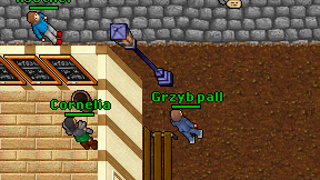 Grzyb pall on screen