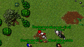 Hederasal on screen