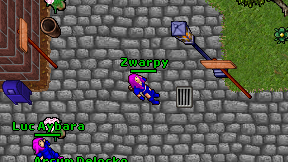 Zwarpy on screen