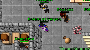 Knight of Valyon on screen