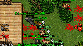 Royal Galax on screen