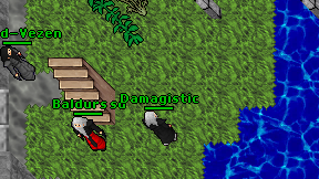 Damagistic on screen