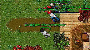 Dragon Markwinawk on screen