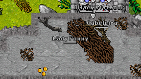 Lady Foxxy on screen