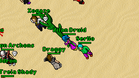 Zilan Druid on screen