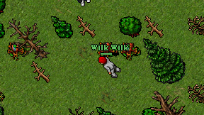Wilk Wilk on screen