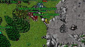 Ruless Knight on screen