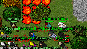 Melhiot on screen