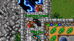 Renyon Argail on screen