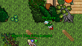 Metavy on screen