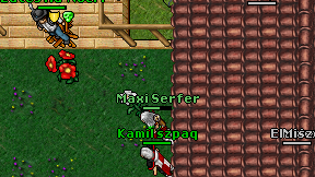 Maxi Serfer on screen