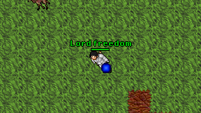Lord freedom on screen
