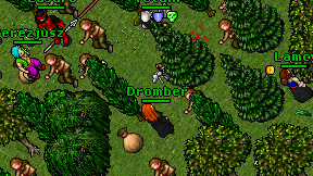 Dromber on screen