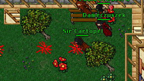Sir'Cartopel on screen