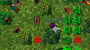 Tommy Fool on screen