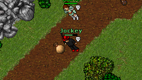 Jockey on screen