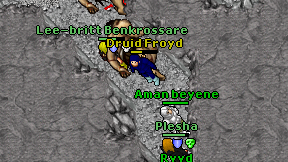 Druid Froyd on screen