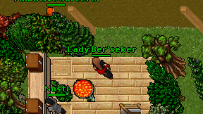 Lady Ber'seker on screen