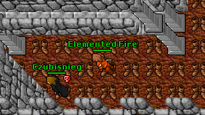 Elemented Fire on screen