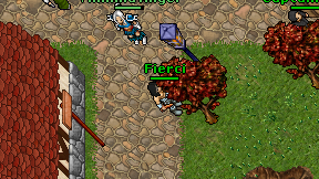 Fierci on screen