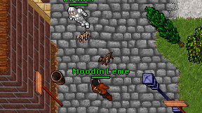 Moodin Leme on screen