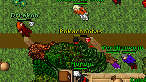 Pokachontas on screen
