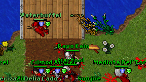 Ravo Kain on screen