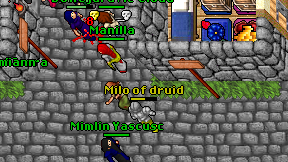 Milo of druid on screen