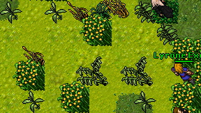 Josebitaa on screen