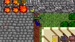 Wer Wolf on screen