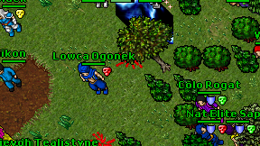 Niikon on screen