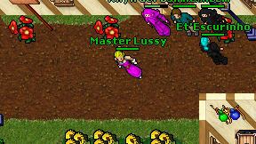 Master Lussy on screen