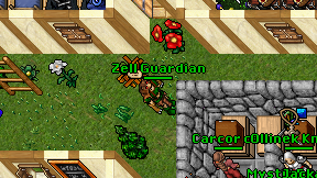 Zell Guardian on screen