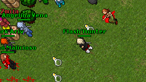 Flash'Hunter on screen