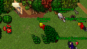 Dymaq on screen