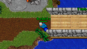 Reblitz on screen
