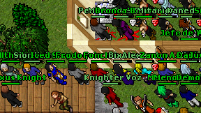 Knighter Voz on screen