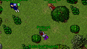 Priicat on screen