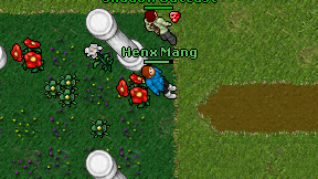 Henx Mang on screen