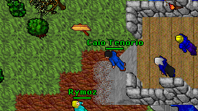 Caio Tenorio on screen
